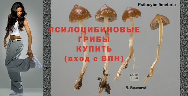 mdpv Богданович