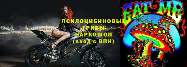 mdpv Богданович