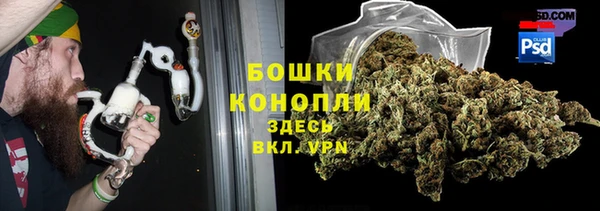 mdpv Богородицк